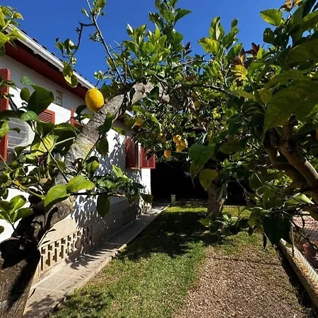Ferienhaus Casa Carla In Picafort *
